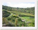 0939-Eden Project * 800 x 600 * (127KB)